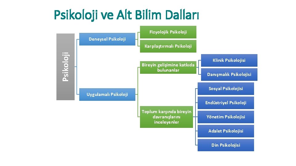 Psikoloji ve Alt Bilim Dalları Fizyolojik Psikoloji Deneysel Psikoloji Karşılaştırmalı Psikoloji Bireyin gelişimine katkıda