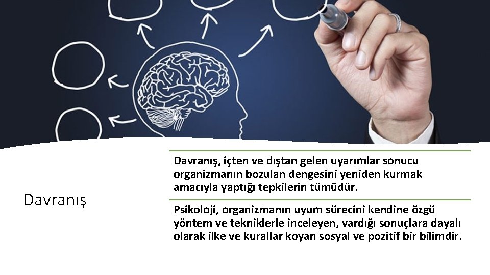 Davranış, içten ve dıştan gelen uyarımlar sonucu organizmanın bozulan dengesini yeniden kurmak amacıyla yaptığı