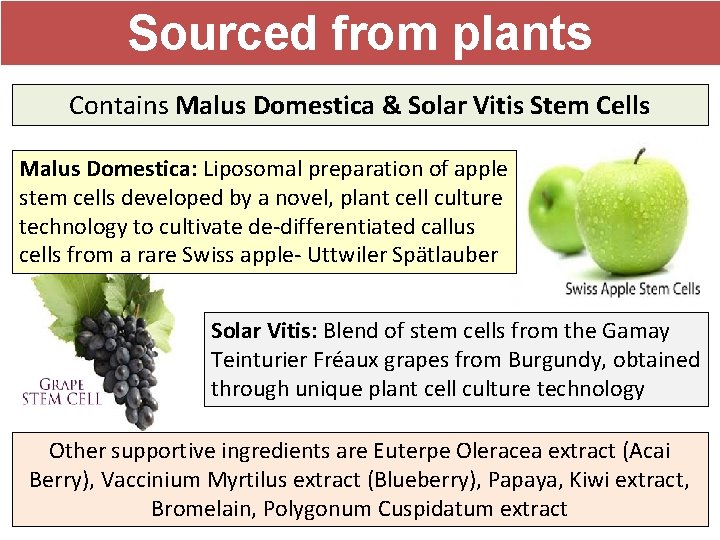 Sourced from plants Contains Malus Domestica & Solar Vitis Stem Cells Malus Domestica: Liposomal