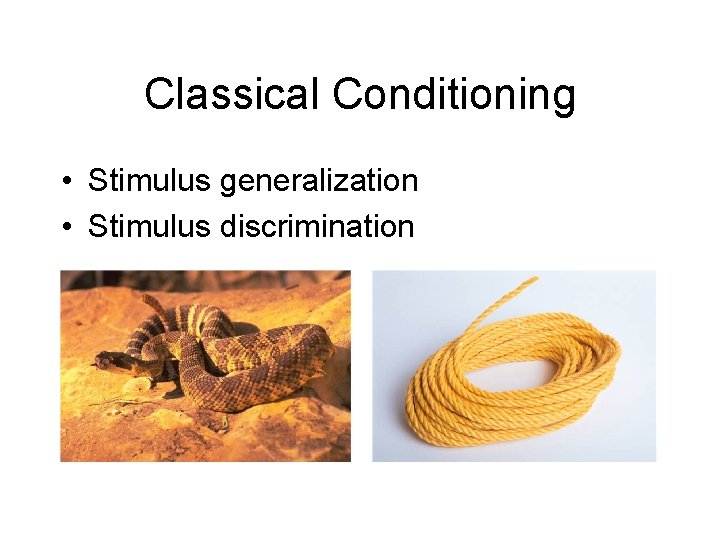 Classical Conditioning • Stimulus generalization • Stimulus discrimination Classical Conditioning • Stimulus generalization • Stimulus discrimination