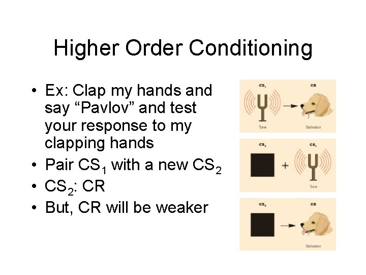 Higher Order Conditioning • Ex: Clap my hands and say “Pavlov” and test your Higher Order Conditioning • Ex: Clap my hands and say “Pavlov” and test your