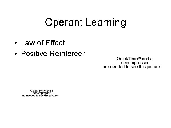 Operant Learning • Law of Effect • Positive Reinforcer Operant Learning • Law of Effect • Positive Reinforcer