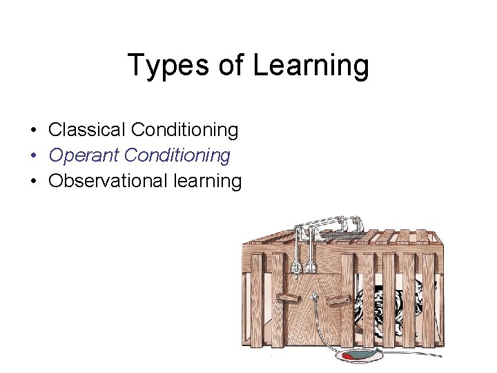 Types of Learning • Classical Conditioning • Operant Conditioning • Observational learning Types of Learning • Classical Conditioning • Operant Conditioning • Observational learning