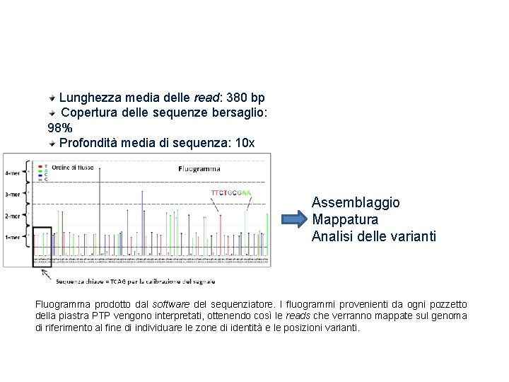 Risultati del sequenziamento Lunghezza media delle read: 380 bp Copertura delle sequenze bersaglio: 98%