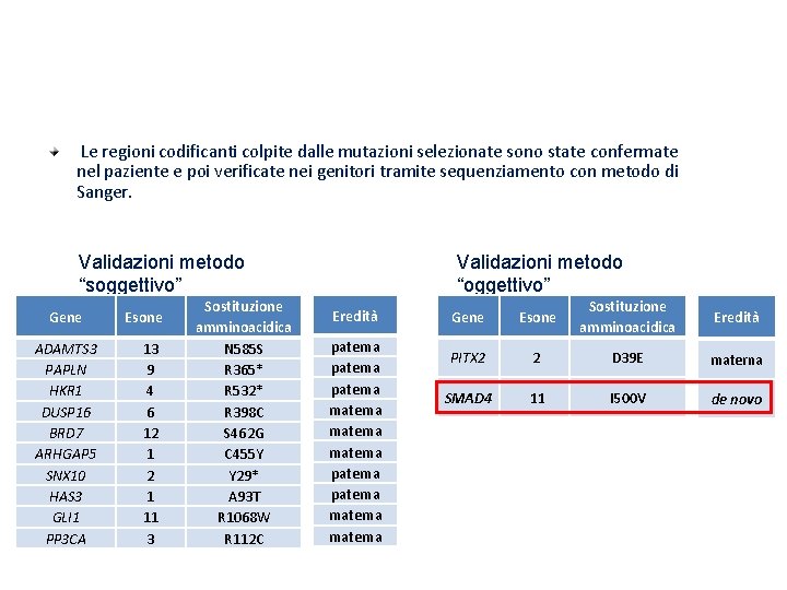Validazione delle varianti selezionate Le regioni codificanti colpite dalle mutazioni selezionate sono state confermate