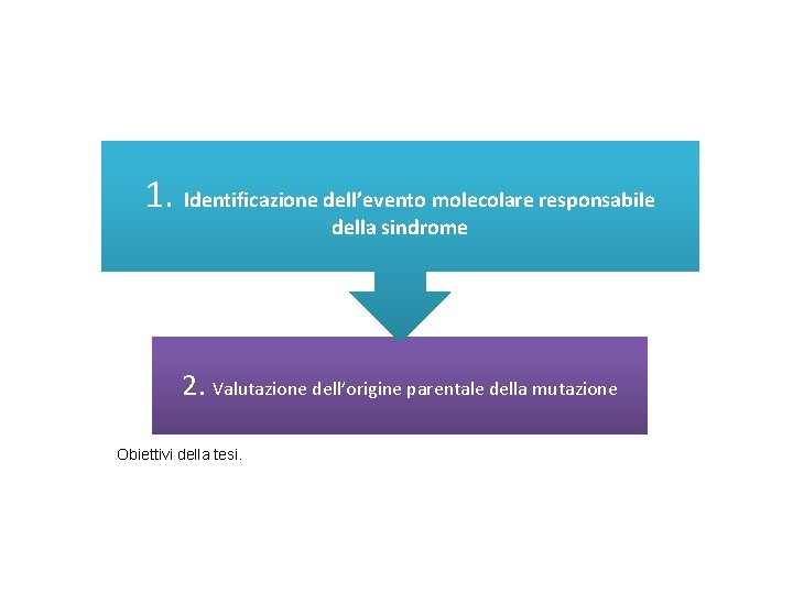 Scopo del lavoro 1. Identificazione dell’evento molecolare responsabile della sindrome 2. Valutazione dell’origine parentale