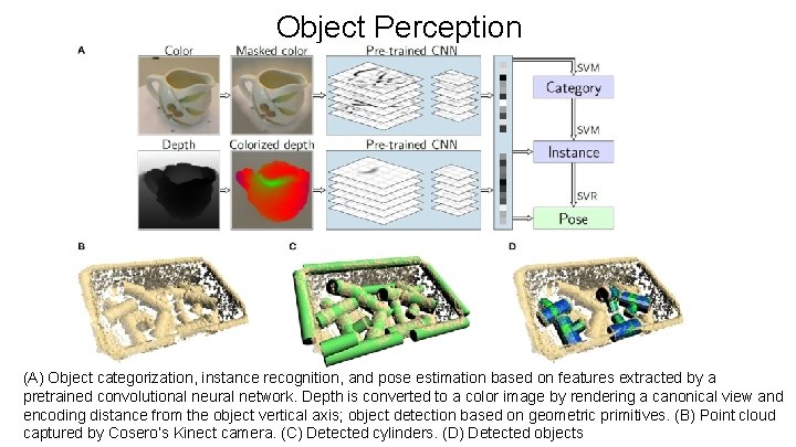 Object Perception (A) Object categorization, instance recognition, and pose estimation based on features extracted