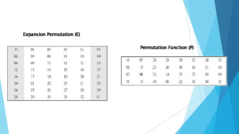 Expansion Permutation (E) Permutation Function (P) 