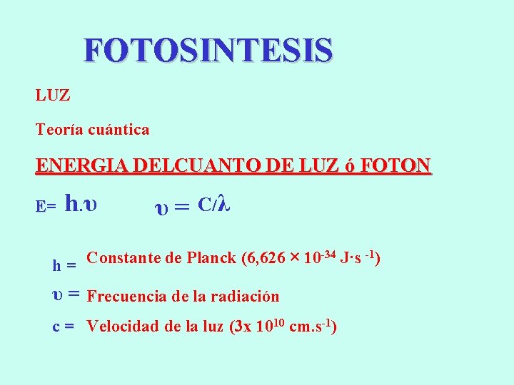 FOTOSINTESIS LUZ Teoría cuántica ENERGIA DELCUANTO DE LUZ ó FOTON E= h. υ υ=
