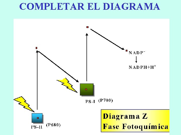 COMPLETAR EL DIAGRAMA 