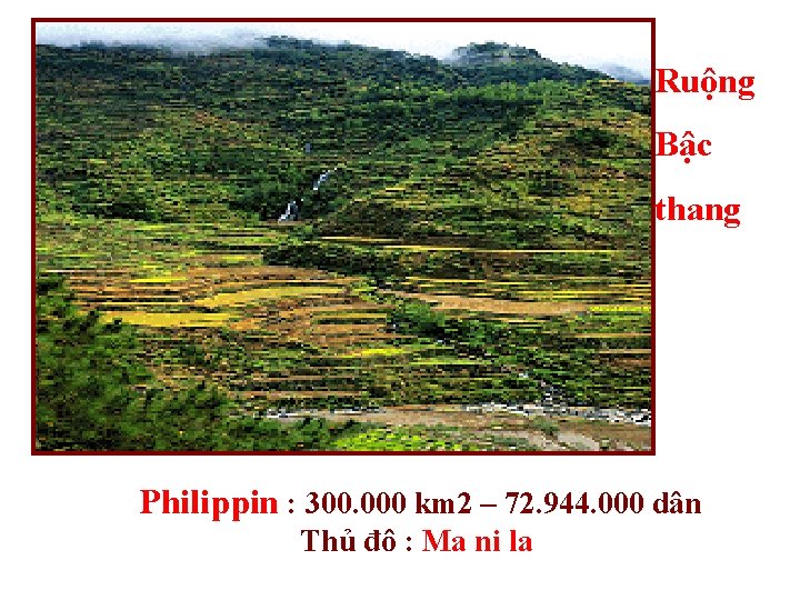 Ruộng Bậc thang Philippin : 300. 000 km 2 – 72. 944. 000 dân