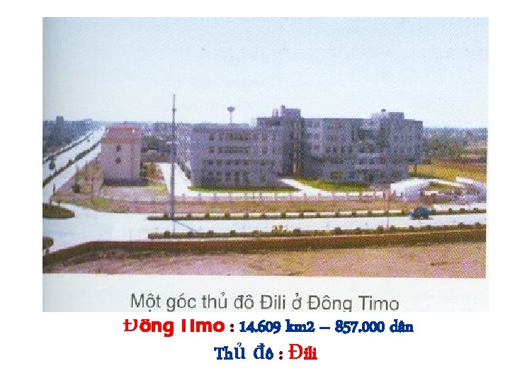 Đông Timo : 14. 609 km 2 – 857. 000 dân Thủ đô :