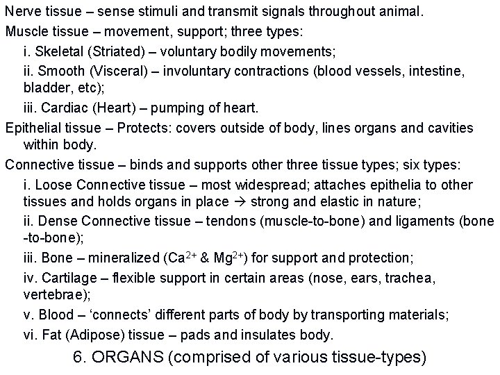 Nerve tissue – sense stimuli and transmit signals throughout animal. Muscle tissue – movement,