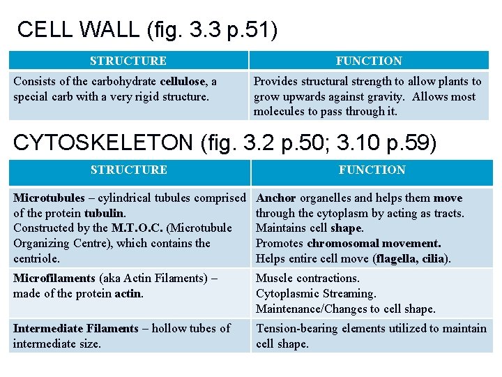 CELL WALL (fig. 3. 3 p. 51) STRUCTURE Consists of the carbohydrate cellulose, a