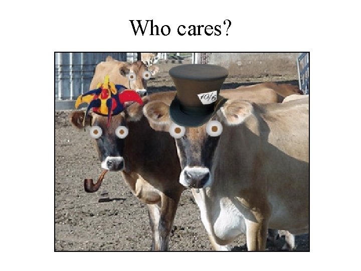Who cares? 