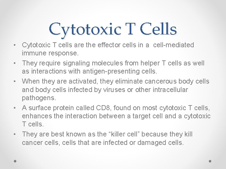 Cytotoxic T Cells • Cytotoxic T cells are the effector cells in a cell-mediated