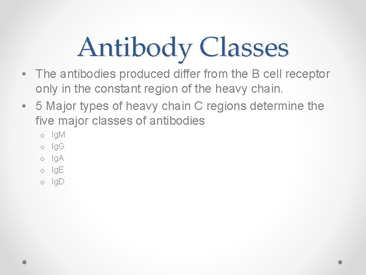 Antibody Classes • The antibodies produced differ from the B cell receptor only in