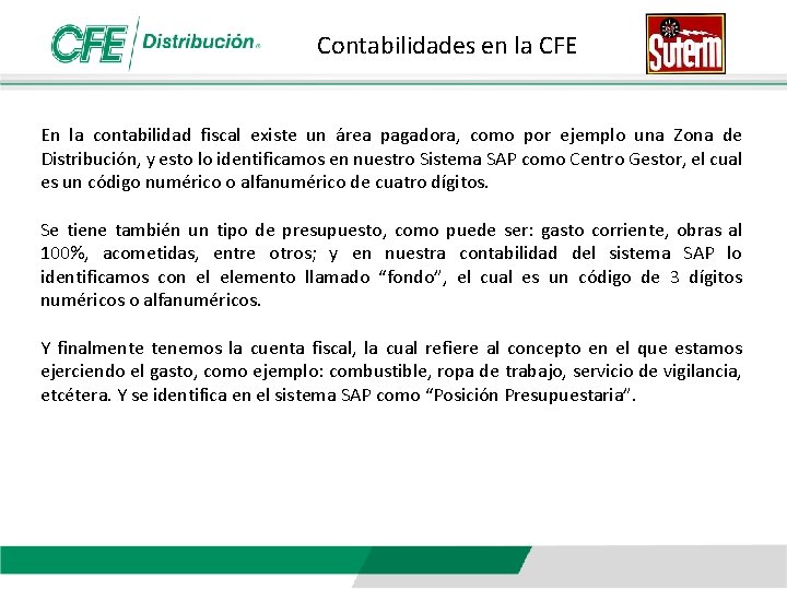 Contabilidades en la CFE En la contabilidad fiscal existe un área pagadora, como por