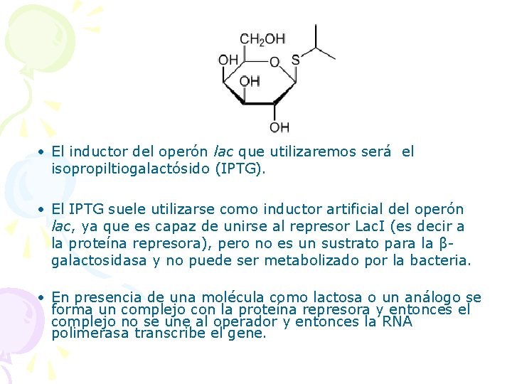  • El inductor del operón lac que utilizaremos será el isopropiltiogalactósido (IPTG). •