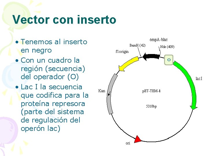 Vector con inserto • Tenemos al inserto en negro • Con un cuadro la