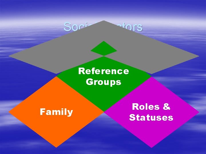 Social Factors Reference Groups Family Roles & Statuses 