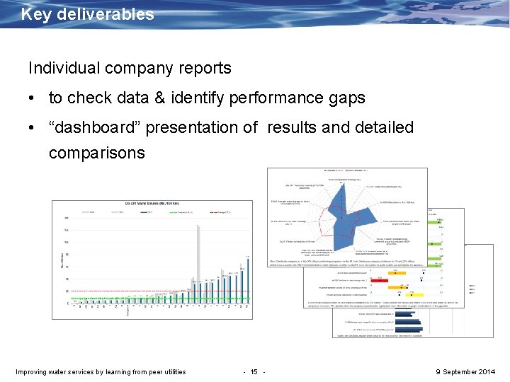 Key deliverables Individual company reports • to check data & identify performance gaps •