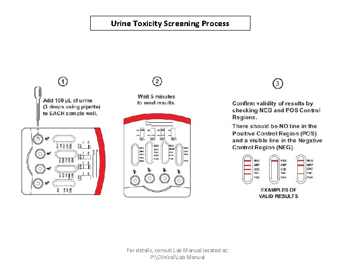 Urine Toxicity Screening Process For details, consult Lab Manual located at: P: ClinicalLab Manual