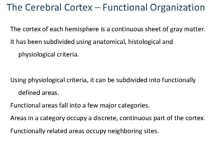 The Cerebral Cortex – Functional Organization The cortex of each hemisphere is a continuous