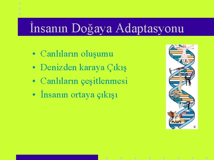 İnsanın Doğaya Adaptasyonu • • Canlıların oluşumu Denizden karaya Çıkış Canlıların çeşitlenmesi İnsanın ortaya