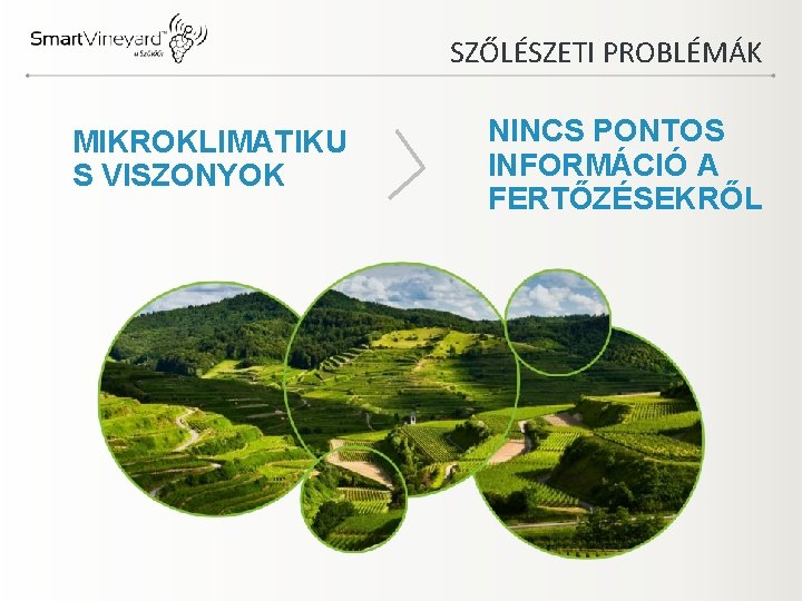 SZŐLÉSZETI PROBLÉMÁK MIKROKLIMATIKU S VISZONYOK NINCS PONTOS INFORMÁCIÓ A FERTŐZÉSEKRŐL 