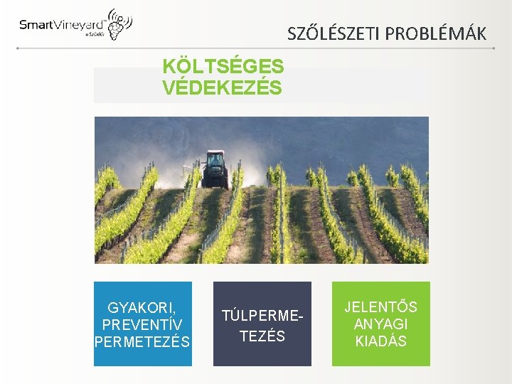 SZŐLÉSZETI PROBLÉMÁK KÖLTSÉGES VÉDEKEZÉS GYAKORI, PREVENTÍV PERMETEZÉS TÚLPERMETEZÉS JELENTŐS ANYAGI KIADÁS 