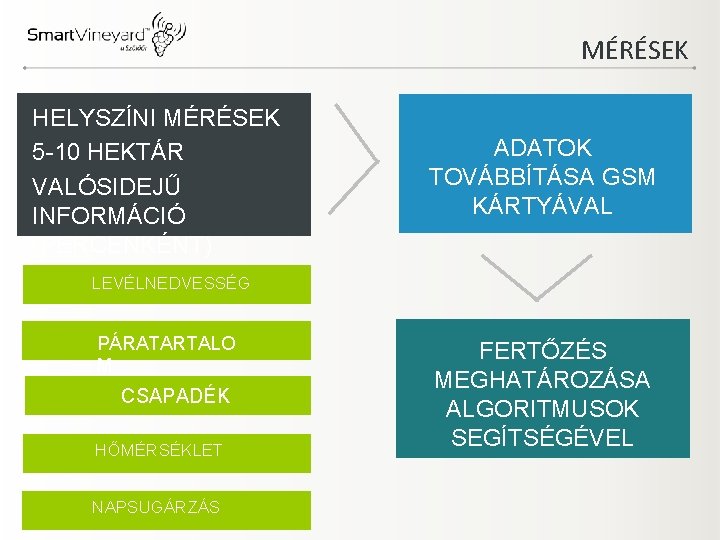 MÉRÉSEK HELYSZÍNI MÉRÉSEK 5 -10 HEKTÁR VALÓSIDEJŰ INFORMÁCIÓ (PERCENKÉNT) ADATOK TOVÁBBÍTÁSA GSM KÁRTYÁVAL LEVÉLNEDVESSÉG