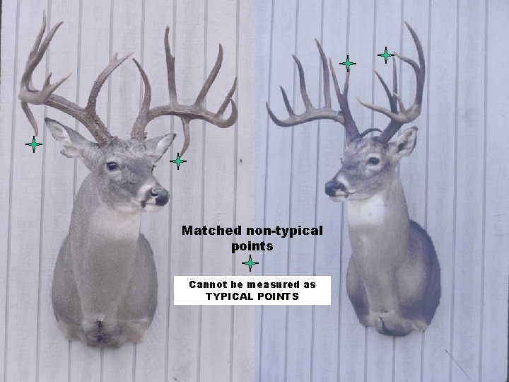 Matched non-typical points Cannot be measured as TYPICAL POINTS 