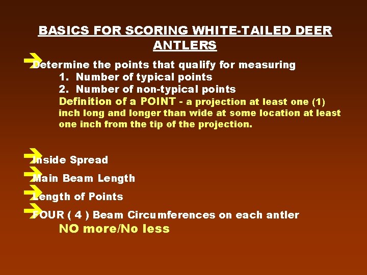 BASICS FOR SCORING WHITE-TAILED DEER ANTLERS è Determine the points that qualify for measuring