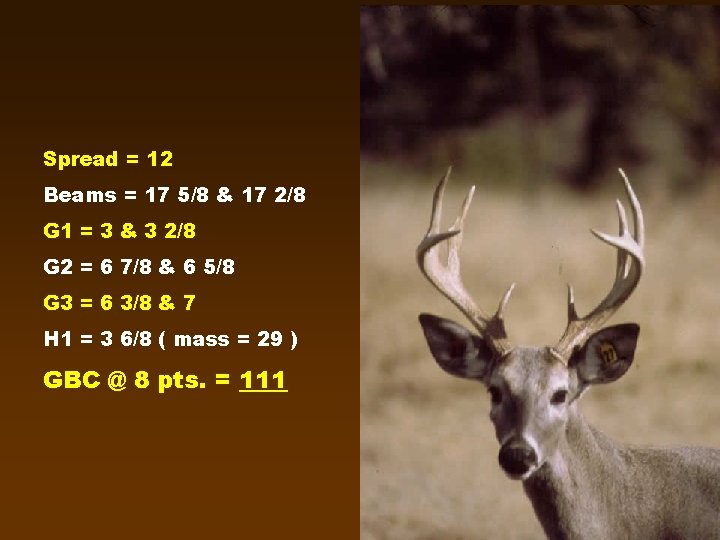 Spread = 12 Beams = 17 5/8 & 17 2/8 G 1 = 3