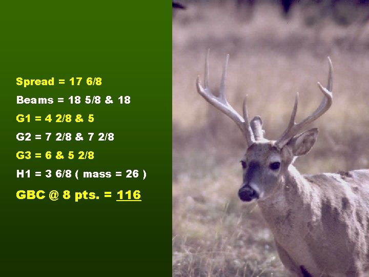 Spread = 17 6/8 Beams = 18 5/8 & 18 G 1 = 4