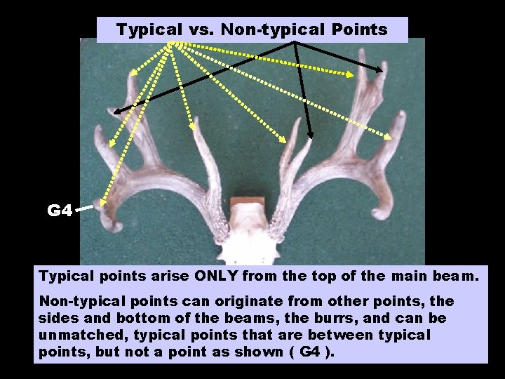 Typical vs. Non-typical Points G 4 Typical points arise ONLY from the top of