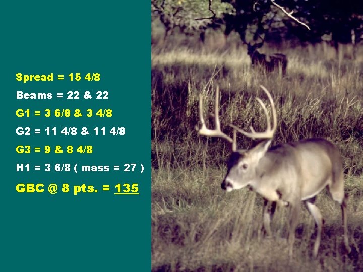 Spread = 15 4/8 Beams = 22 & 22 G 1 = 3 6/8