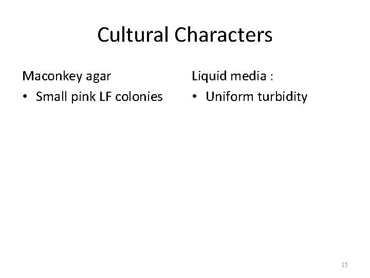 Cultural Characters Maconkey agar • Small pink LF colonies Liquid media : • Uniform
