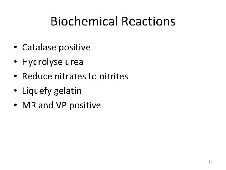Biochemical Reactions • • • Catalase positive Hydrolyse urea Reduce nitrates to nitrites Liquefy