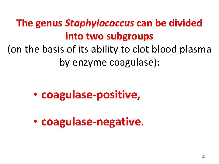 The genus Staphylococcus can be divided into two subgroups (on the basis of its
