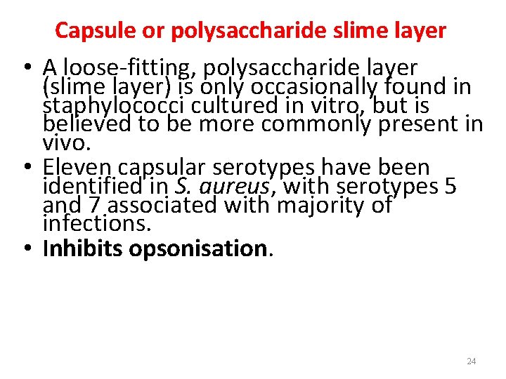 Capsule or polysaccharide slime layer • A loose-fitting, polysaccharide layer (slime layer) is only