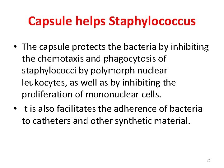 Capsule helps Staphylococcus • The capsule protects the bacteria by inhibiting the chemotaxis and