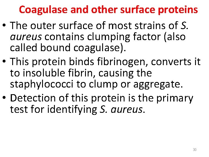 Coagulase and other surface proteins • The outer surface of most strains of S.
