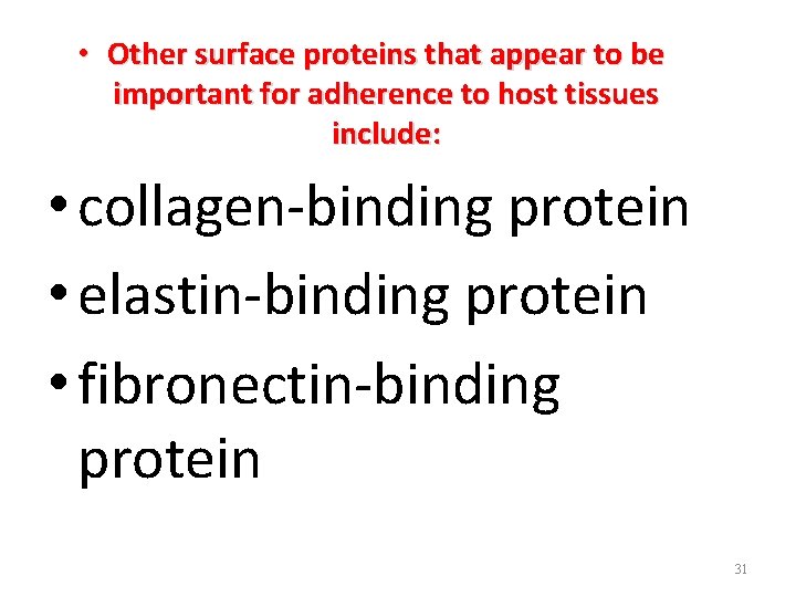  • Other surface proteins that appear to be important for adherence to host