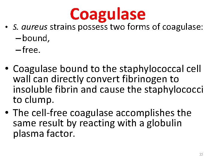 Coagulase • S. aureus strains possess two forms of coagulase: – bound, – free.