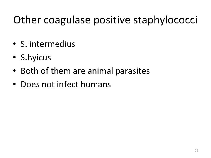 Other coagulase positive staphylococci • • S. intermedius S. hyicus Both of them are
