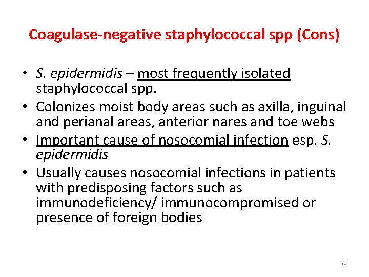 Coagulase-negative staphylococcal spp (Cons) • S. epidermidis – most frequently isolated staphylococcal spp. •