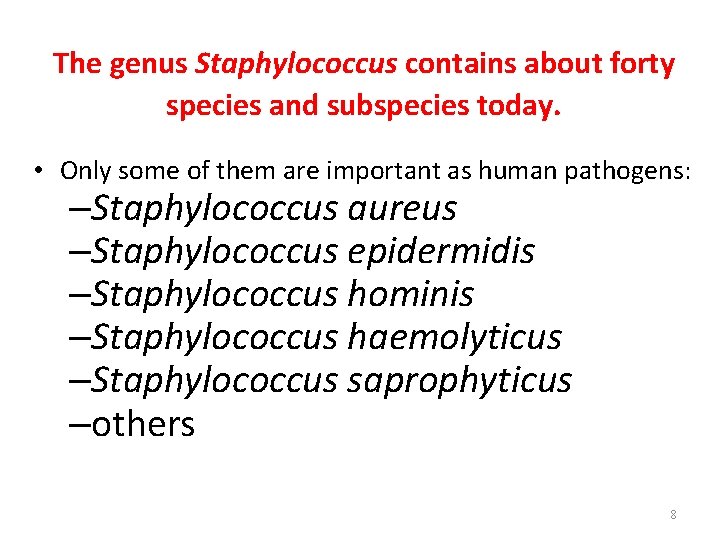 The genus Staphylococcus contains about forty species and subspecies today. • Only some of