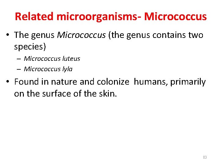 Related microorganisms- Micrococcus • The genus Micrococcus (the genus contains two species) – Micrococcus